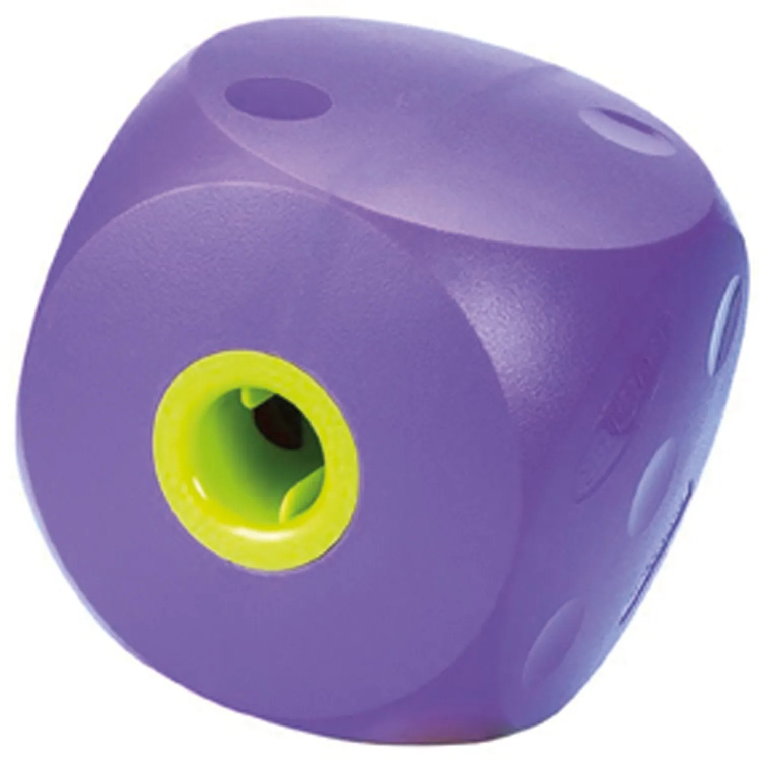 Buster Food Cube Large