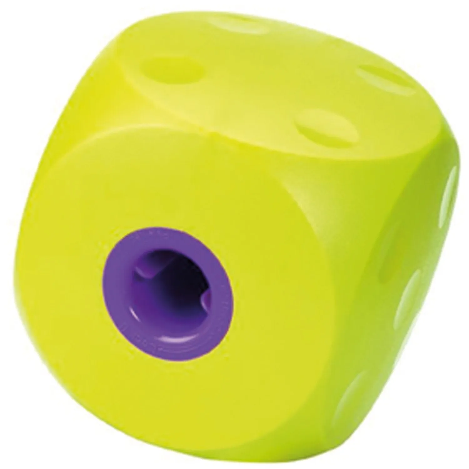 Buster Food Cube Large