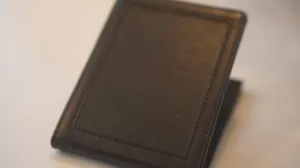 Chameleon Skin Wallet by Jim Steinmeier