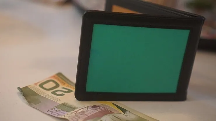Chameleon Skin Wallet by Jim Steinmeier