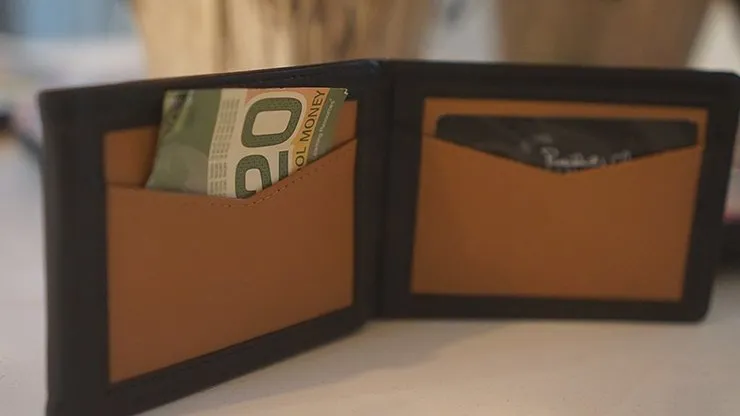 Chameleon Skin Wallet by Jim Steinmeier