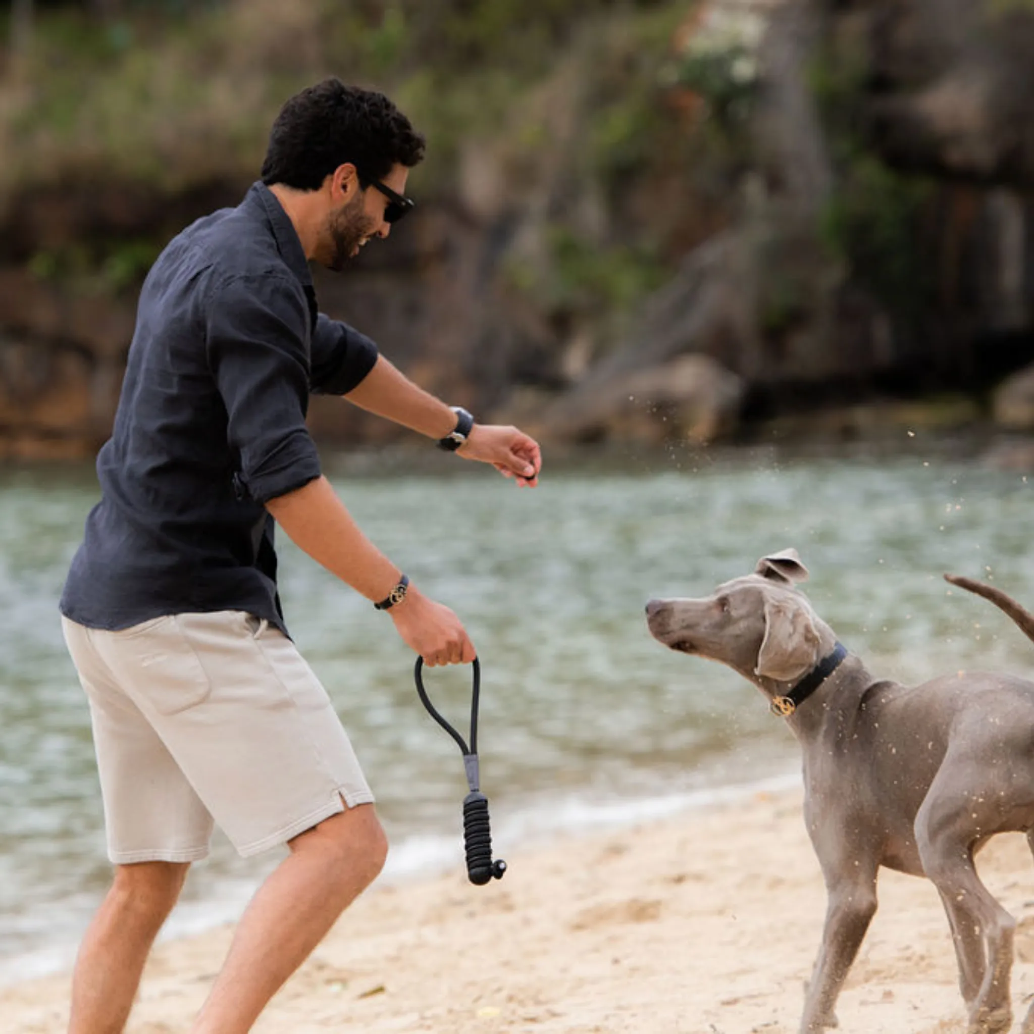 Clovelly Chew & Chase