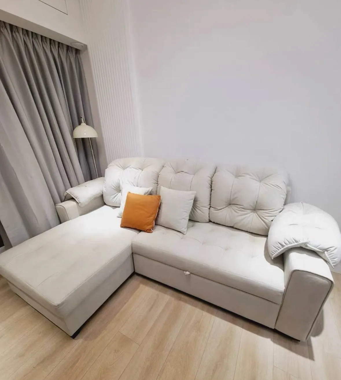 Craig Scratch Resistant Sofa Bed