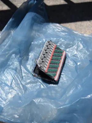 Edda wallet, cactus