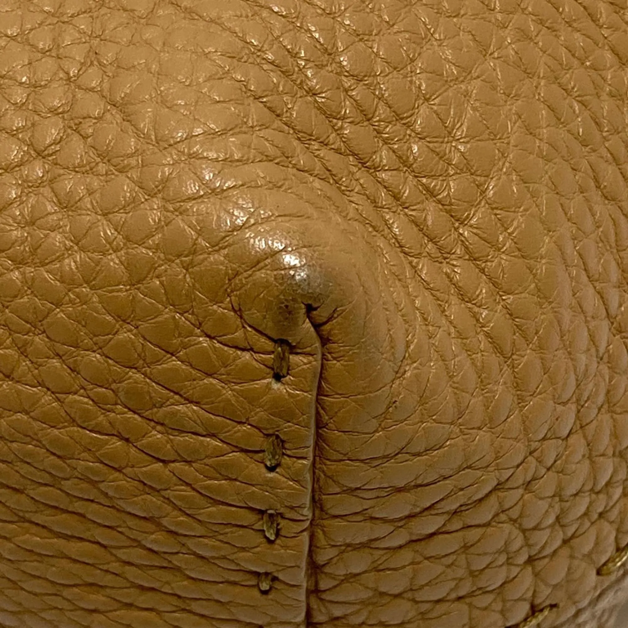 Fendi Selleria Carla Leather Tote Bag (SHG-36074)