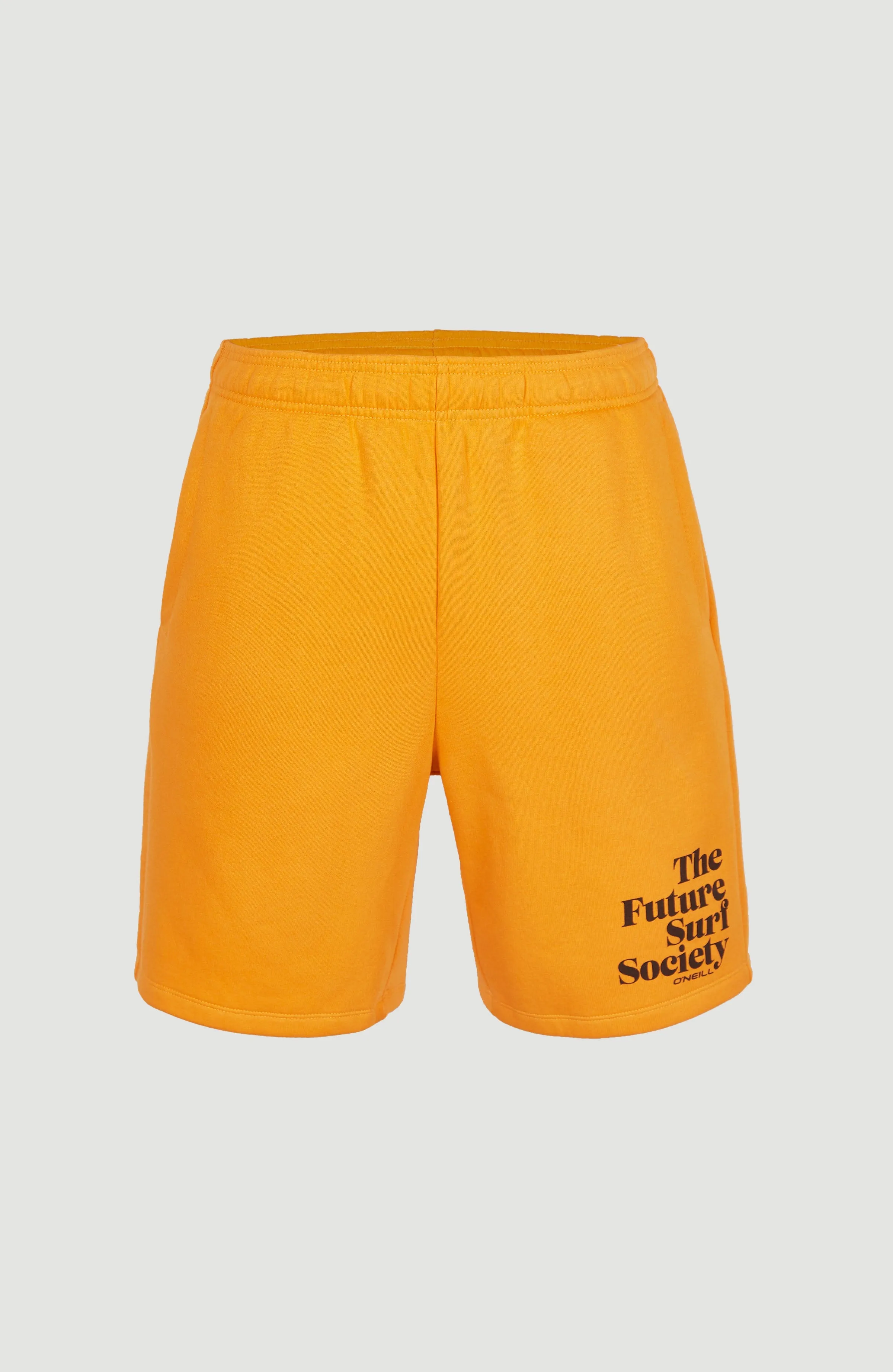 Future Surf Sweatshorts | Nugget