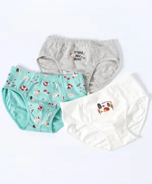 Junior Woodland Adventure BOYS Briefs 3-packs