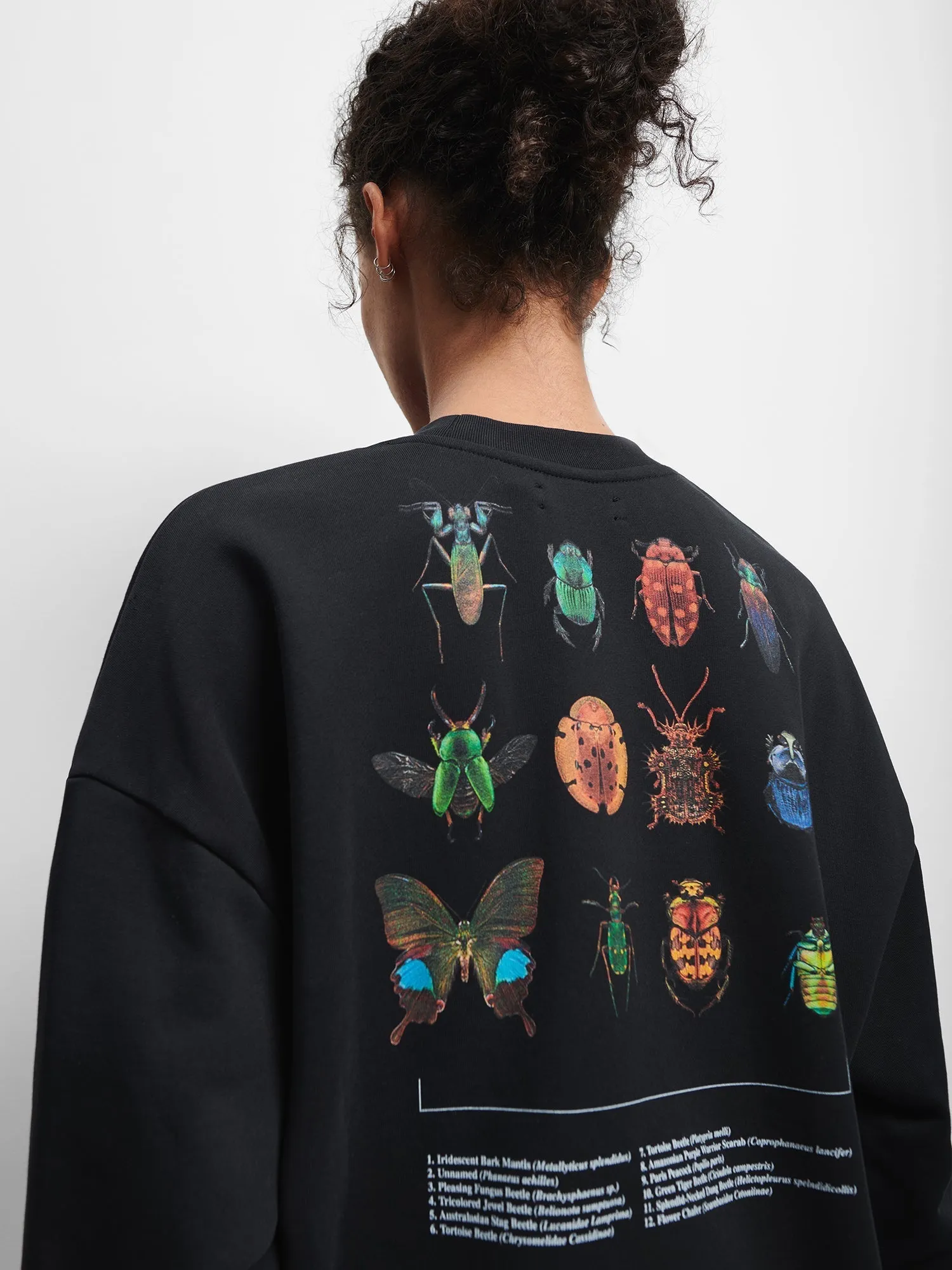 Mens PANGAIA X Levon Biss Entomologist Sweatshirt—black