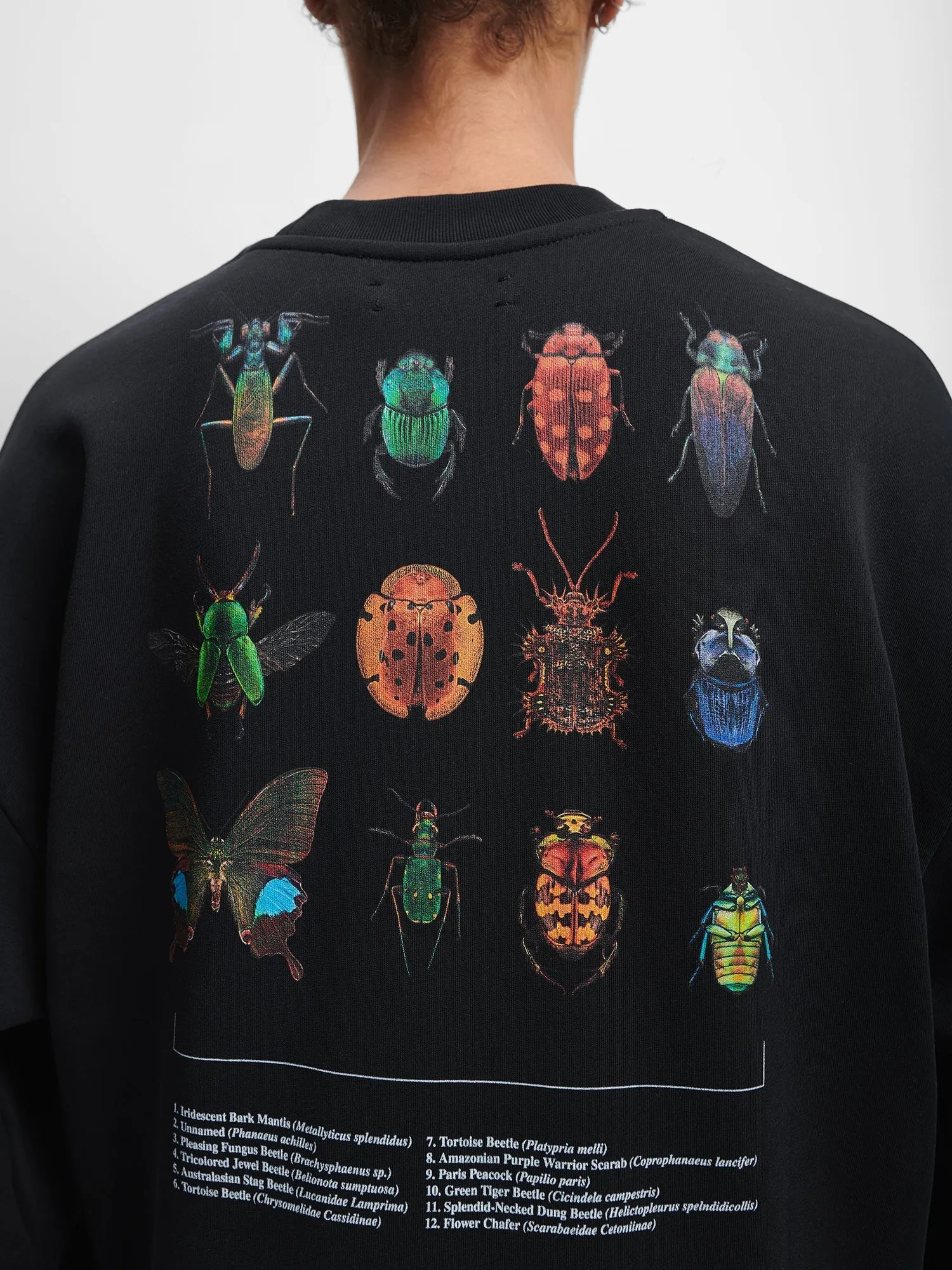 Mens PANGAIA X Levon Biss Entomologist Sweatshirt—black