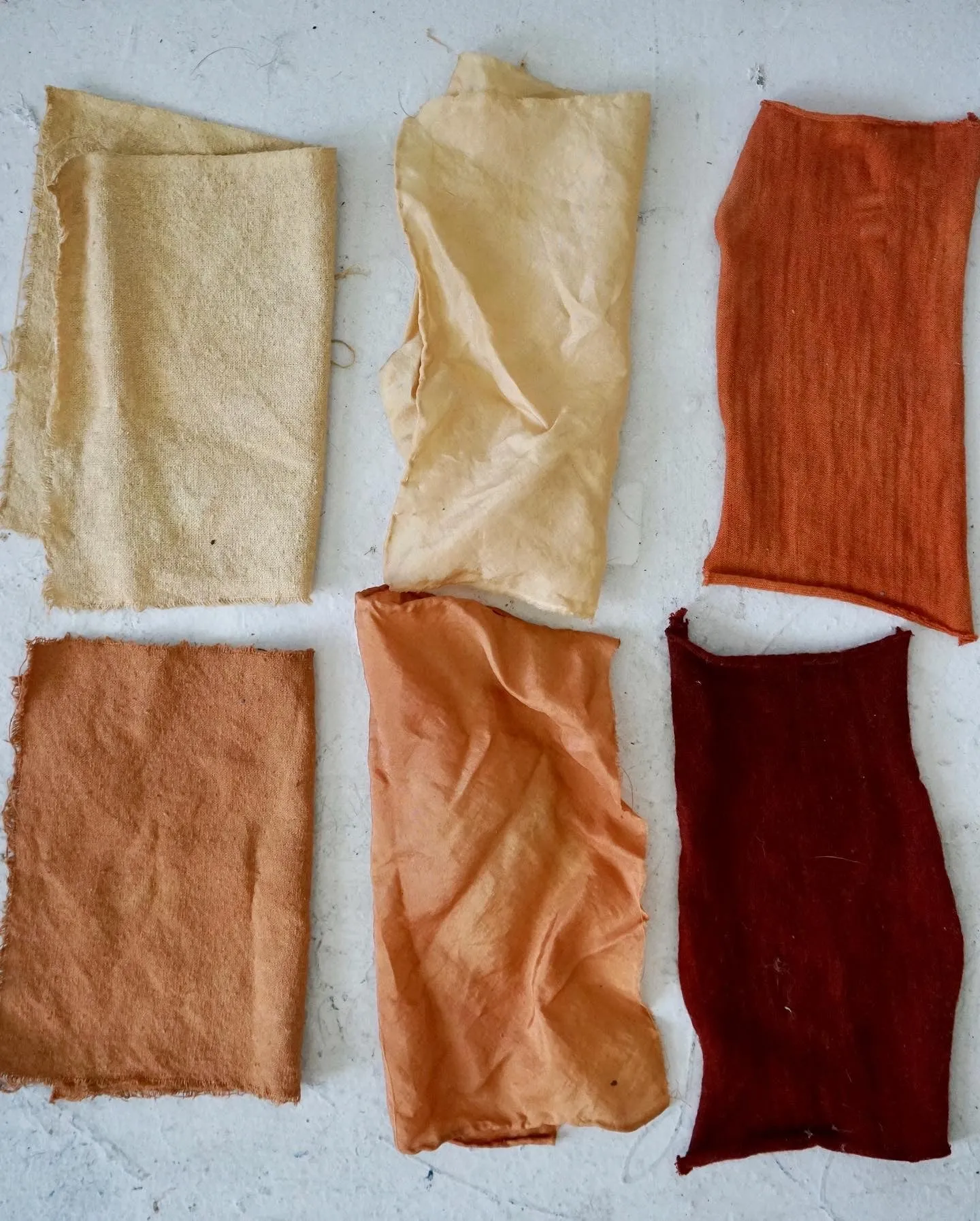Natural Dye Consultation - 1 Hour