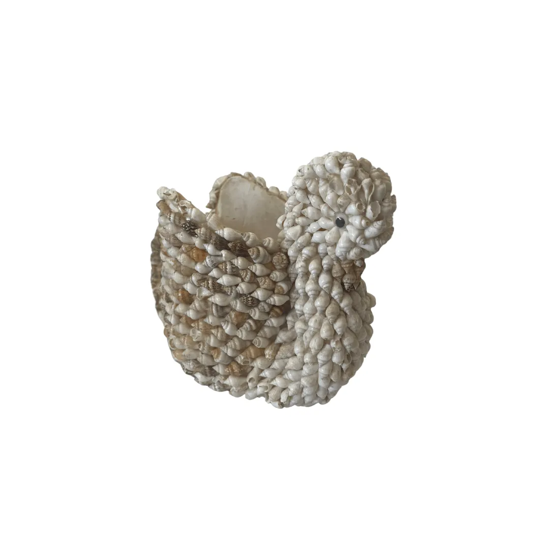 Shell Swan