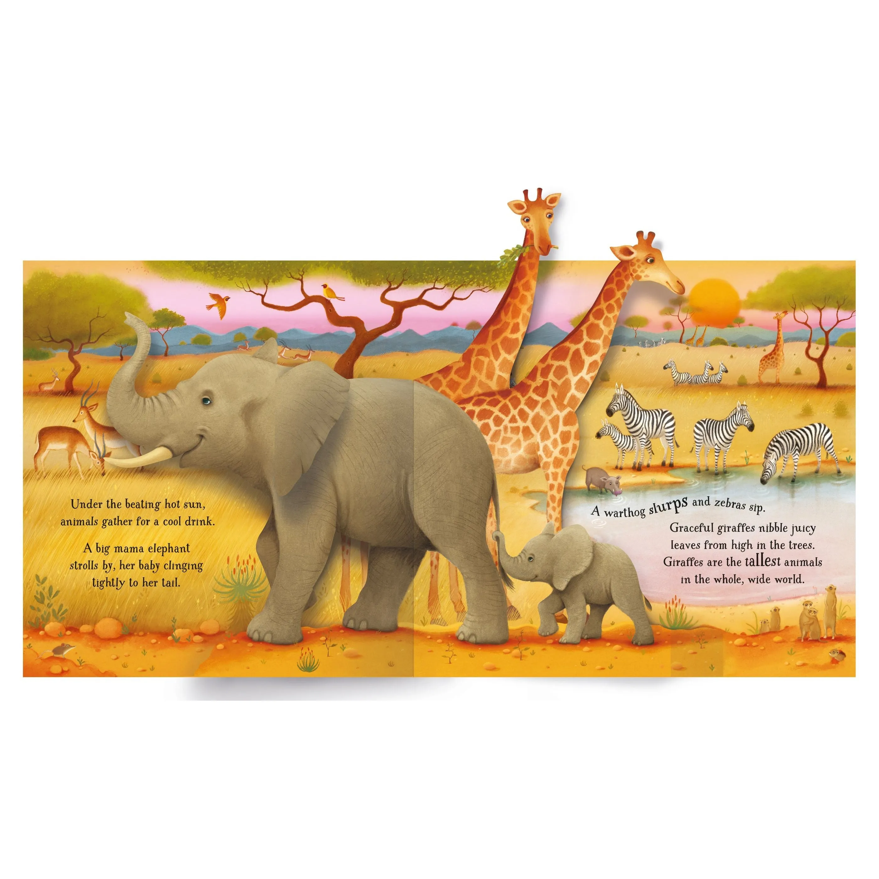 Usborne animals pop up