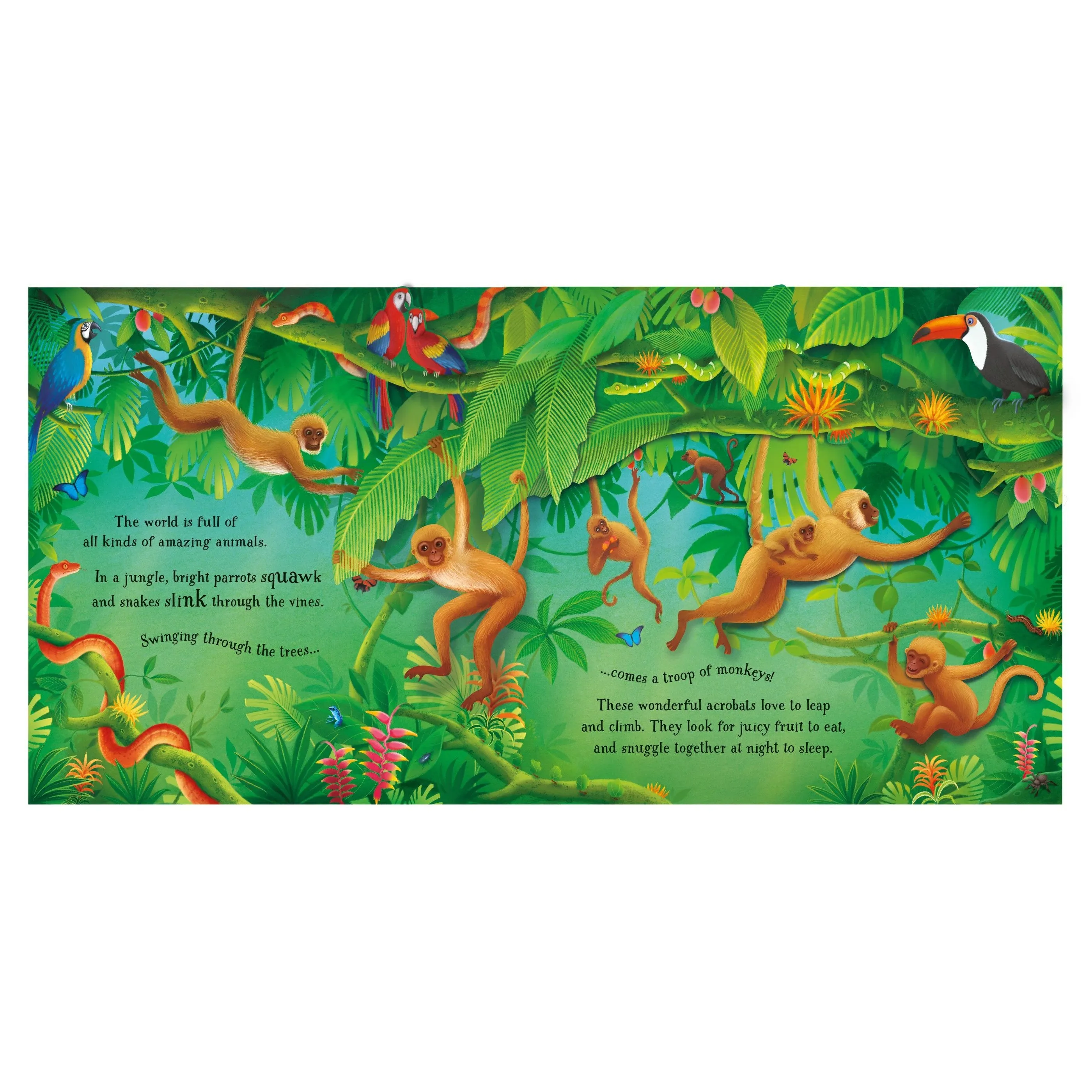 Usborne animals pop up