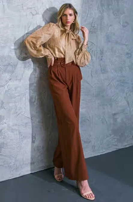 Wide Leg Brown Pant